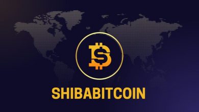 shibabitcoin—redefining-everyday-cryptocurrency-transactions