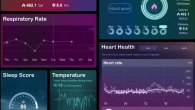 biohack-your-life-with-optim-ring:-the-smart-ring-for-peak-performance-and-longevity