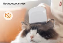 how-to-use-a-grooming-vacuum-for-dogs?